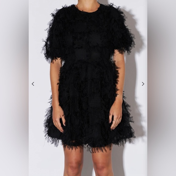 Endless Rose Black Mesh Dress - Picture 4 of 6